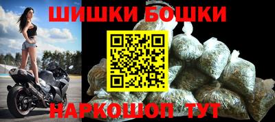 индика Бийск