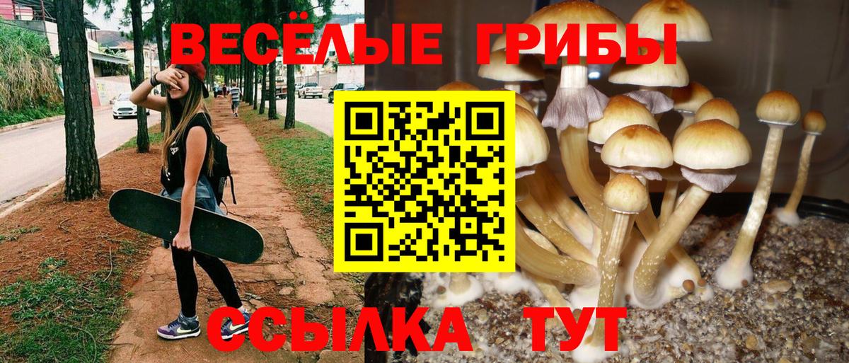 Псилоцибиновые грибы прущие грибы Киселёвск