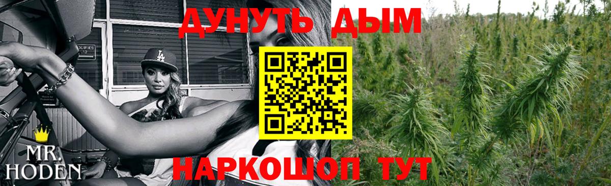 Киселёвск  Каннабис тримм  Вход с VPN  Конопля индика 